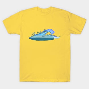 Don't lose the wave 2 T-Shirt